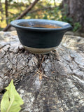 Earth Tone Shaving Bowl #1